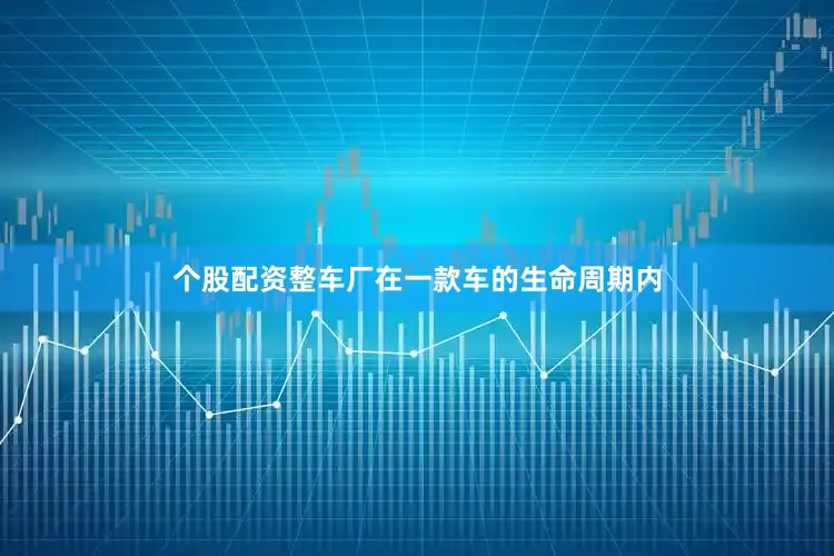 个股配资整车厂在一款车的生命周期内