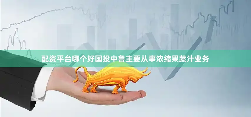 配资平台哪个好国投中鲁主要从事浓缩果蔬汁业务