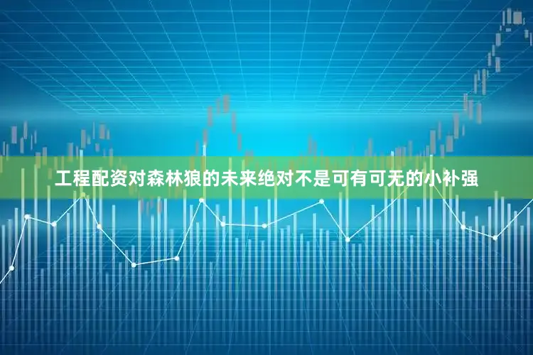 工程配资对森林狼的未来绝对不是可有可无的小补强