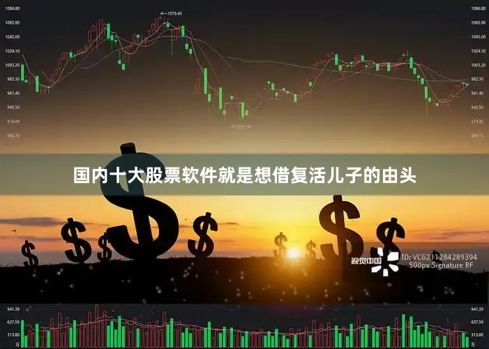 国内十大股票软件就是想借复活儿子的由头