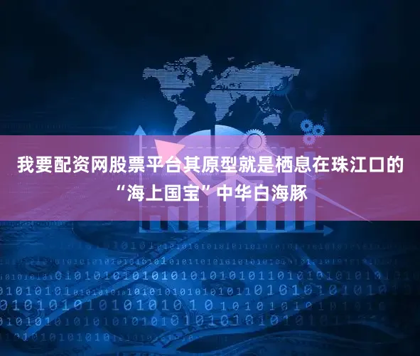 我要配资网股票平台其原型就是栖息在珠江口的“海上国宝”中华白海豚